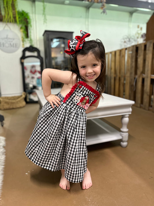 Lil Cactus - Gingham Barn Dress